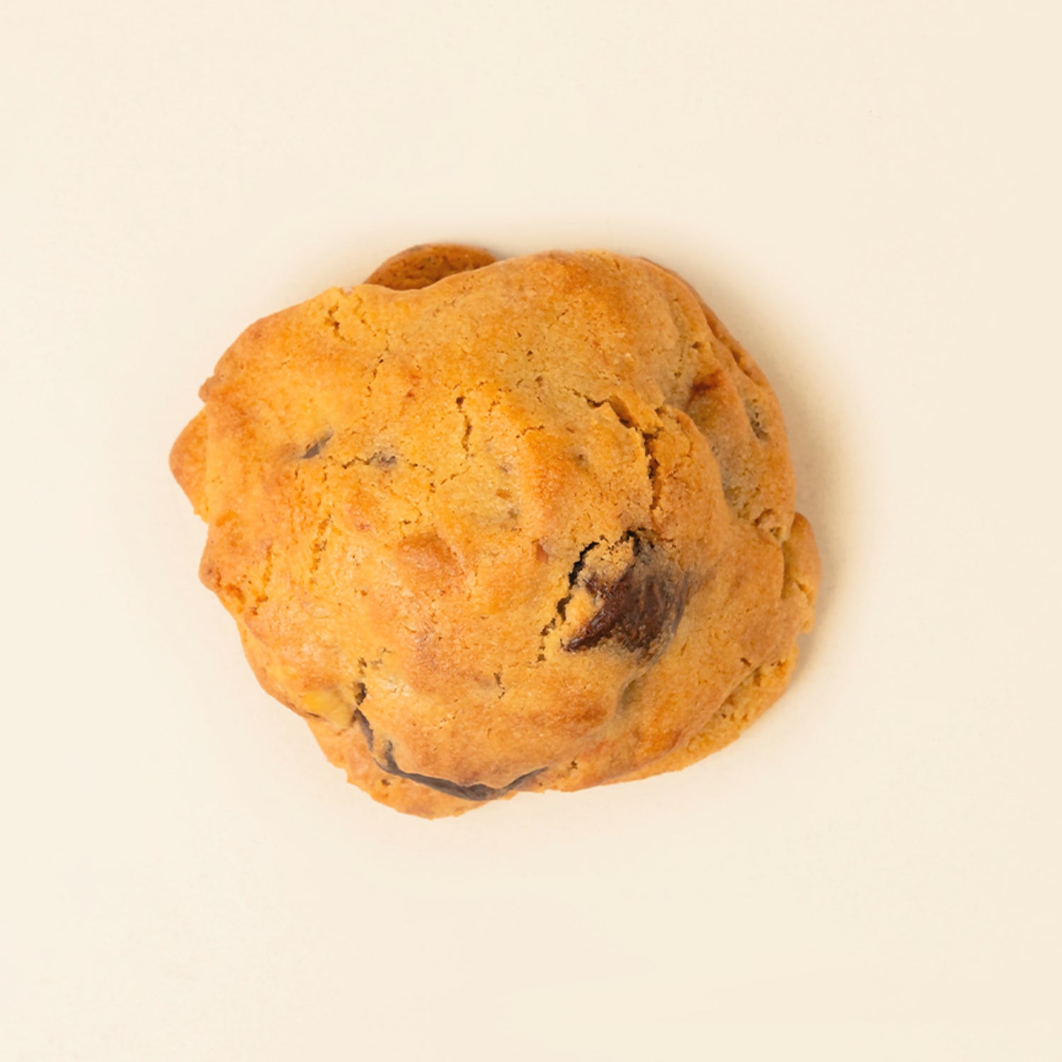 Chocolate Hazelnut Filled