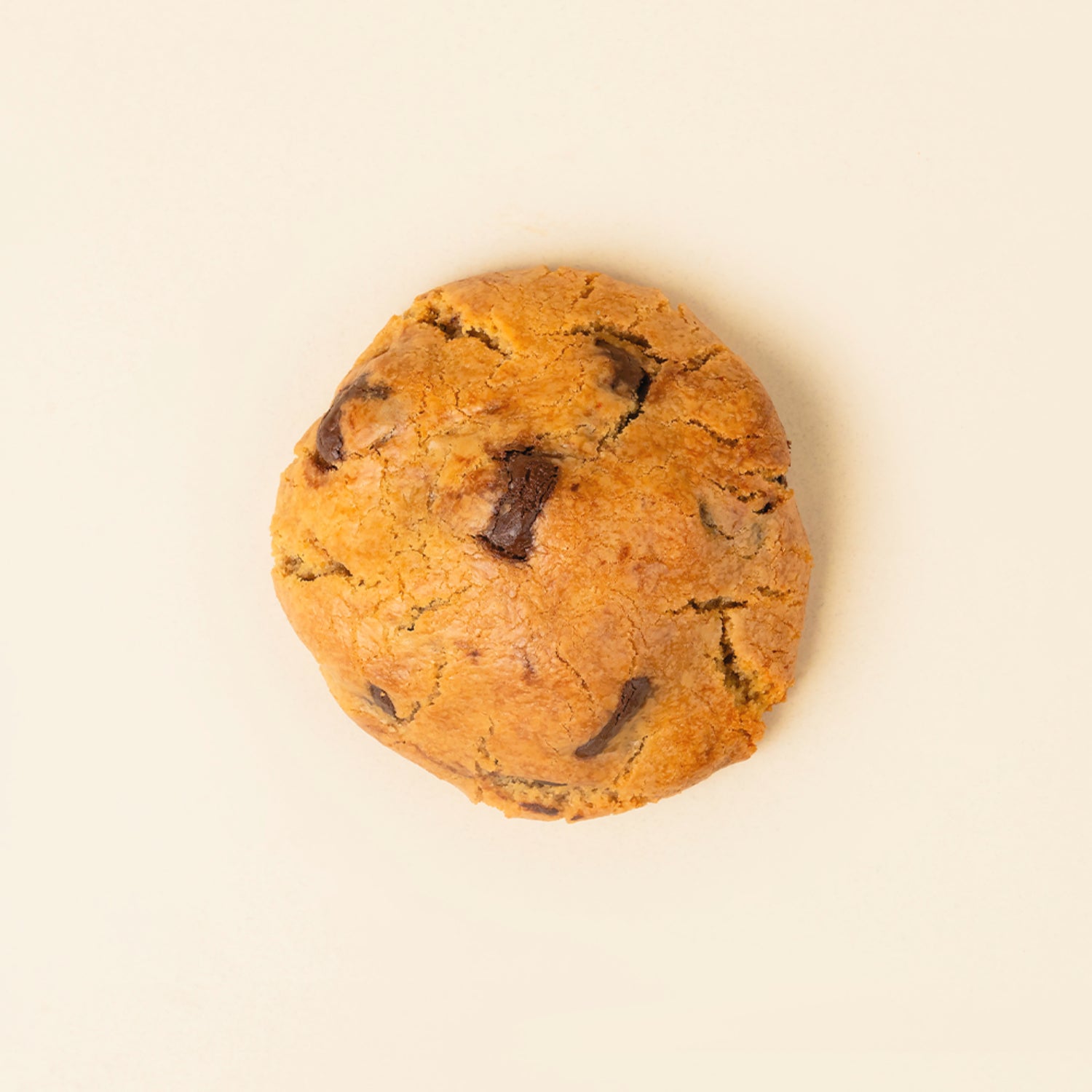 Chocolate Chip Walnut